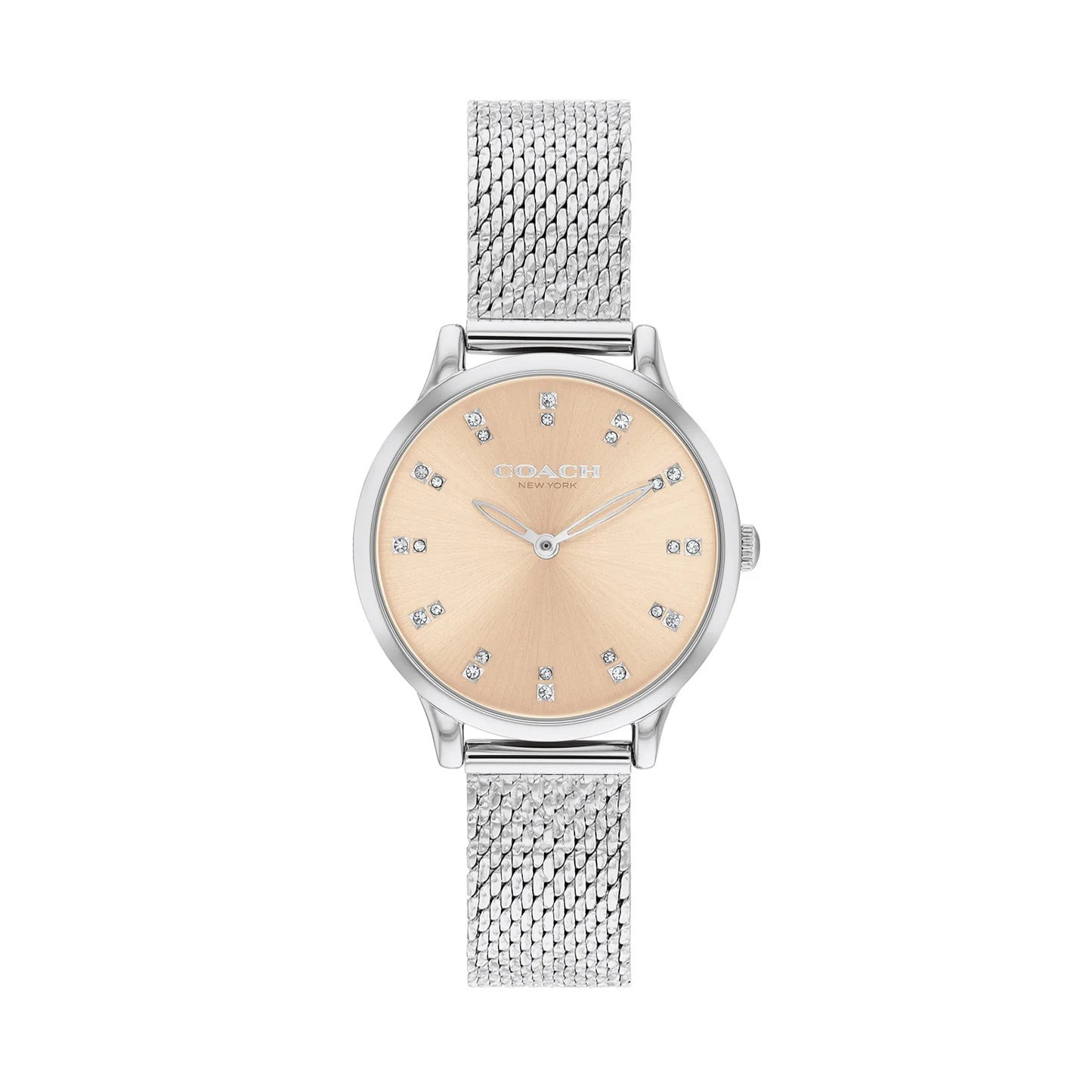 Coach Grand Carnation 14503742 Gold Glitz Dial Mesh Band Women's