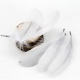 thumbnail image 2 of sweethay Paquete de 50 plumas de ganso, bricolaje, pluma blanca portátil, decoración de boda, tela, pendientes para el pelo, cinta artesanal, vestido Kits de decoración para fiestas sweethay JJ9799-00, 2 of 6