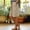 Khaki, variant on Casual Shorts for Women Spring Summer Straight Leg Capri Pants Elastic Waist Lightweight Relaxed Side Pockets Outdoor Shorts