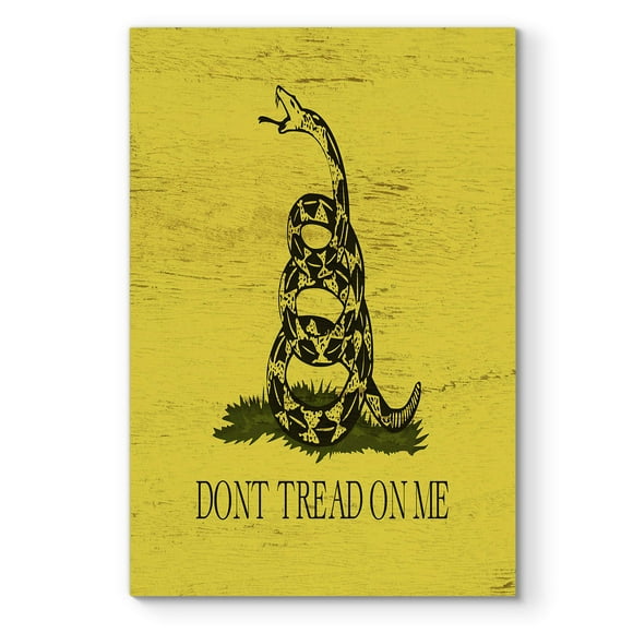 Renditions Gallery Art1 Wall Décor Canvas, Patriotic American, Veteran, Navy, Airforce, Gadsden Flag, Don't Tread on Me, 36X48