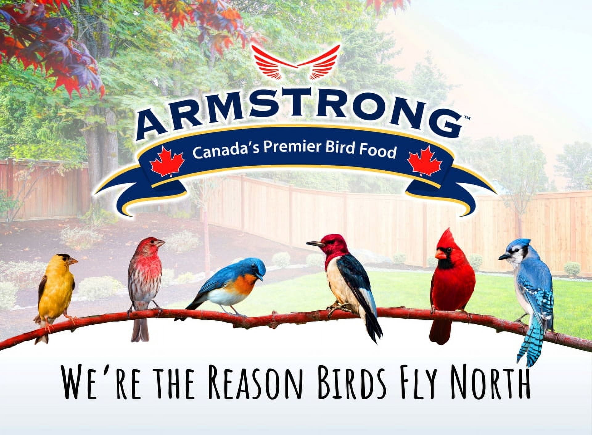 Armstrong Wild Bird Food All Season Blend, 40 Pounds - with Cut Corn, Wheat, White Millet and Black Oil Sunflower Seeds for Blue Jays, Dark-Eyed Juncos and Mourning Doves