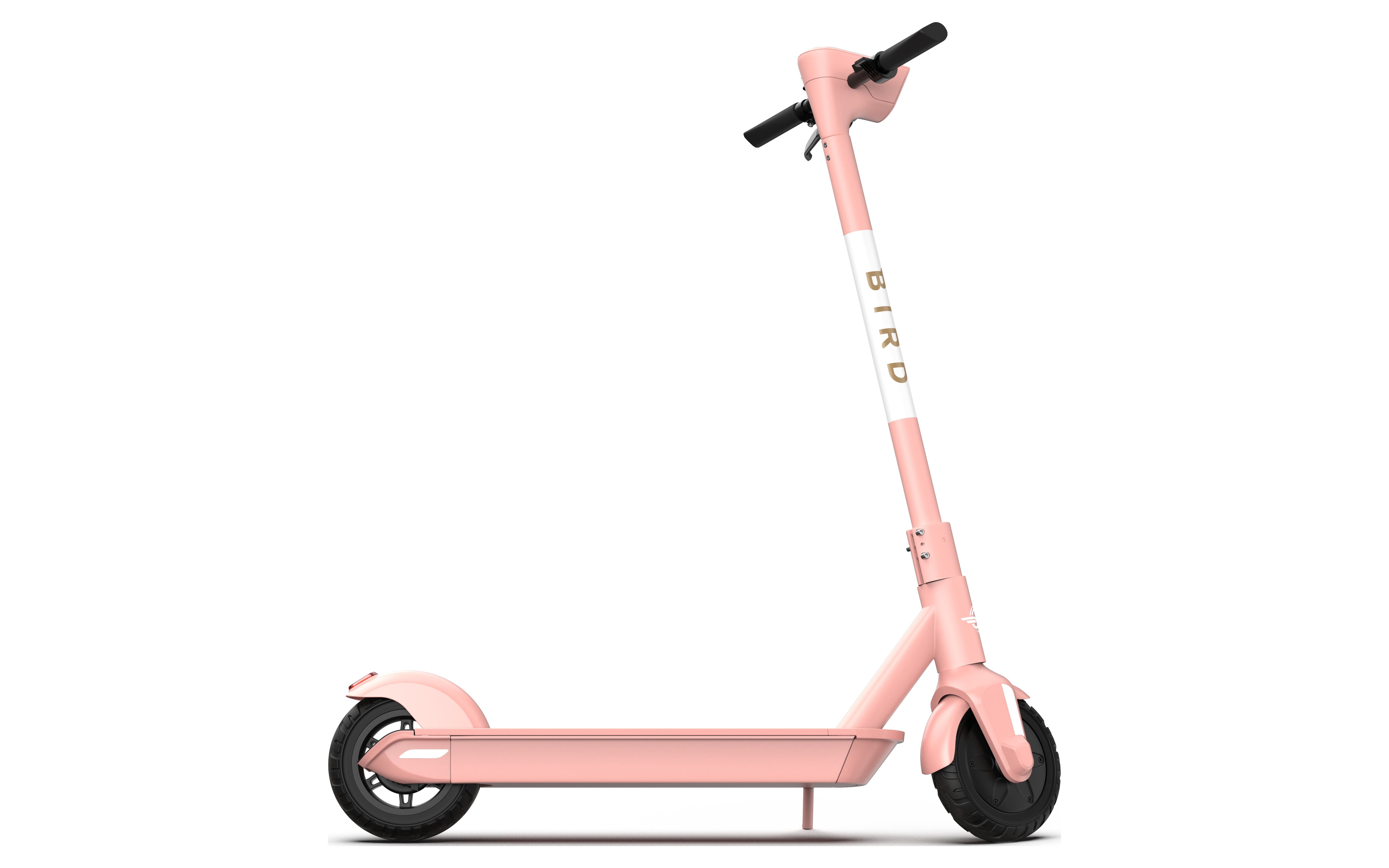Bird scooter hotsell for sale