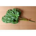 thumbnail image 3 of 1pc Artificial Plant 60cm Fake Plant Decoration for Indoor Outdoor, 3 of 4