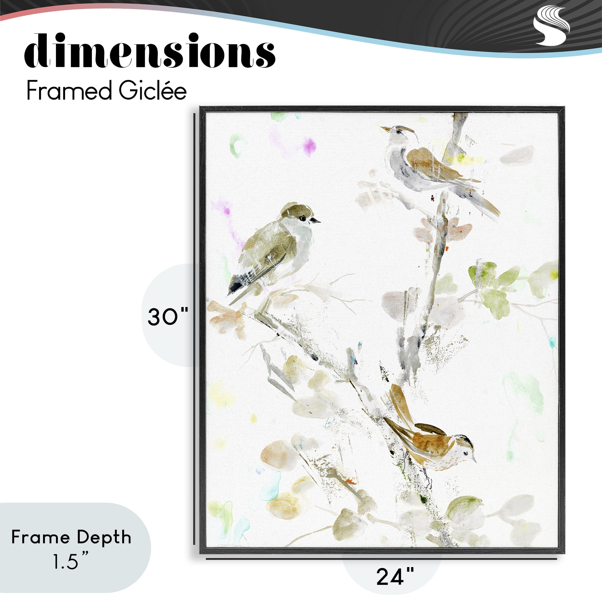 Stupell Industries Delicate Feathers Trio Black Framed Giclee Art, design by Lorenzo Collective