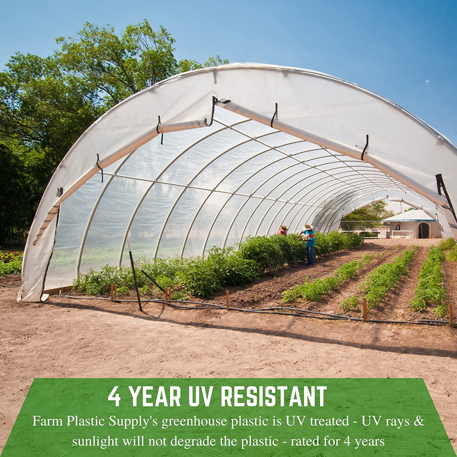 Farm Plastic Supply - Clear Coolmax Greenhouse Plastic Sheeting - 6 Mil - 4 Year UV Resistant Infrared Anti-Condensate Green House Covering Thermal Greenhouse Plastic 6 mil (20' x 50')