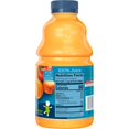 Gerber Mixed Fruit Juice 32 fl. oz. Bottle