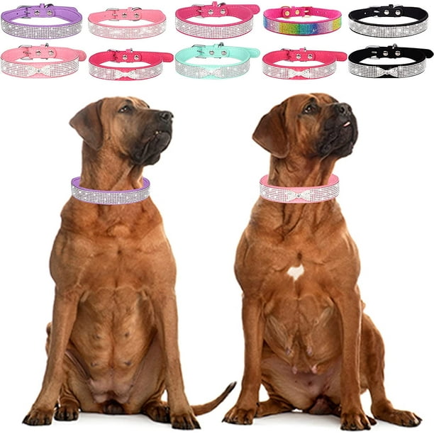 Diamond dog collars outlet for small dogs