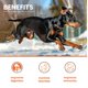 thumbnail image 2 of Pre y probióticos LICKICIOUS 30 sobres para perros y gatos, 2 of 6