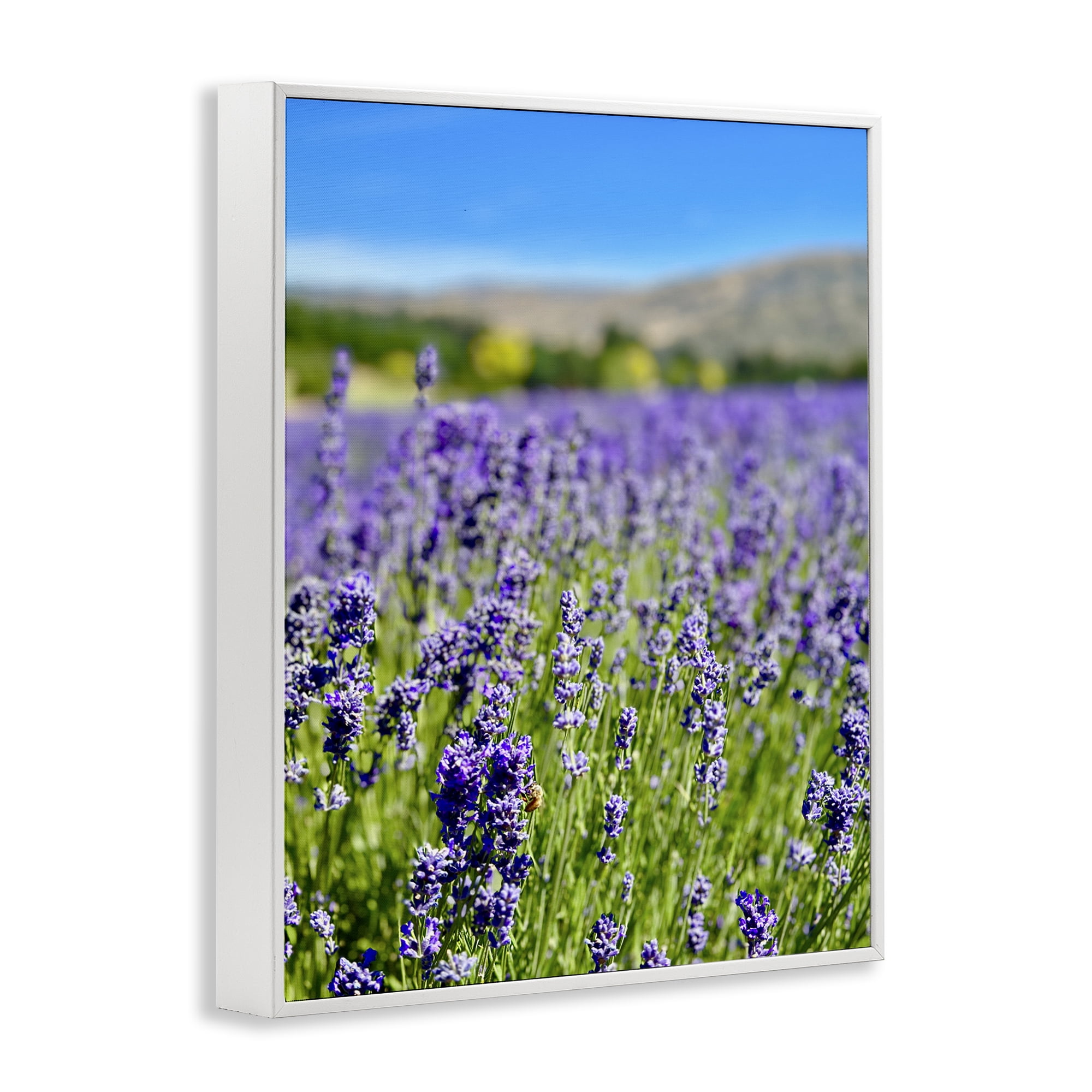 Stupell Industries Lavender in the Wind Landscape Photography White Framed Art Print Wall Art, 16 x 20