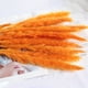 thumbnail image 5 of Hierba Seca Pampas Hierba Caña Natural Flores Secas Hierba De Pampas Secas Ramo De Flores Para Decoración Del Hogar Boho, 5 of 8