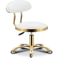 thumbnail image 1 of Chairs Rolling Stool with Back Rest,Height Adjustable, PU Leather Swivel Stool,Adjustable Swivel Drafting Work SPA Shop Salon Stools with Wheels for Shop Nail Tech Tattoo Work ( Color : Light Green ), 1 of 1