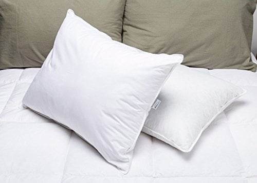 22 inch pillow inserts
