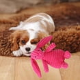 thumbnail image 4 of Juguete para Perros de Peluche Chillón, Juguetes para Masticar Cachorros de Conejo Yuyangstore Masticar juguetes para morder, 4 of 6