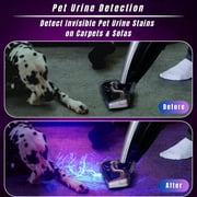 UV Flashlight 395nm - Mini LED Black Light Ultraviolet Light Adjustable Flashlights, for Detection, Curing, Searching Scorpion