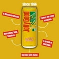 thumbnail image 4 of Jolly Good Sour Pow'r Craft Soda, Flavored Soda Pop Drink, Caffeine Free Soft Drinks for Adults & Kids, Craft Soda for Mocktails & Cocktails, Made in America, Vegan, 12 Oz Cans, 12 Pack, 4 of 7