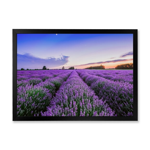 Designart 'Dramatic Clouds and Sunrise Over Lavender Field II' Farmhouse Framed Art Print