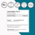 thumbnail image 6 of SuperSmart H. Pylori Formula 20 Billion CFU per Day - Natural Probiotic Lactobacillus Reuteri DSM 17648 Supplement | Non-GMO & Gluten Free - 120 Vegetarian Capsules, 6 of 9