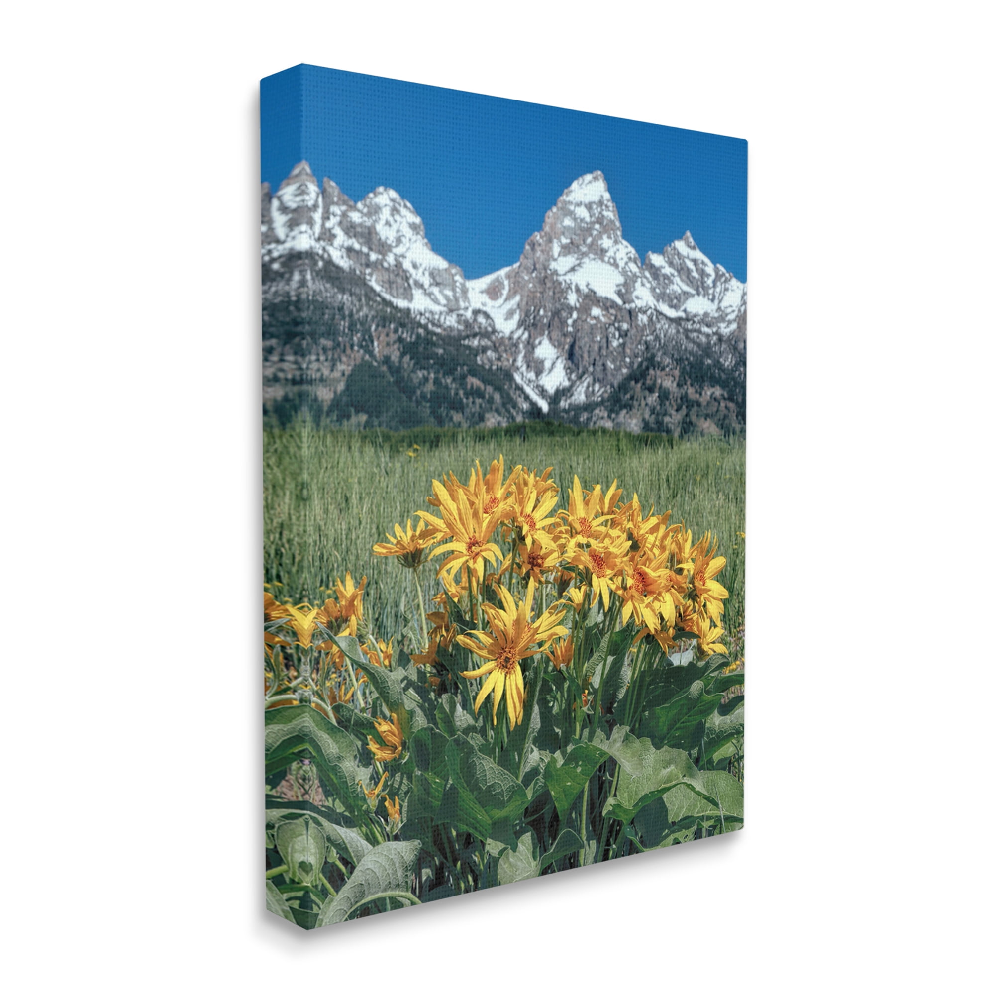 Stupell Industries Daisies & Mountain Peaks Landscape Photography Gallery Wrapped Canvas Art Print Wall Art, 36 x 48