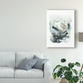 thumbnail image 3 of Trademark Fine Art 'Archipelago I' Canvas Art by Victoria Borges, 3 of 4