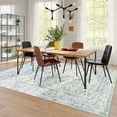 thumbnail image 4 of Wondo 6x9 Area Rug Printed Washable Rugs for Living Room Non-Slip Floor Carpet Soft Boho Vintage Rug Low Pile Water Repellent for Bedroom,Entryway,Kitchen,Indoor, Light Gray, 4 of 9