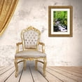 thumbnail image 3 of Taylor, Douglas 23x32 Gold Ornate Wood Framed with Double Matting Museum Art Print Titled - Snowmelt, 3 of 4