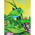 thumbnail image 1 of Carolines Treasures PJC1042CHF Summer Daze Frog Flag Canvas House Size, 1 of 4
