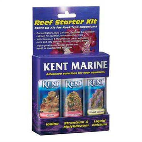 marine aquarium starter kit