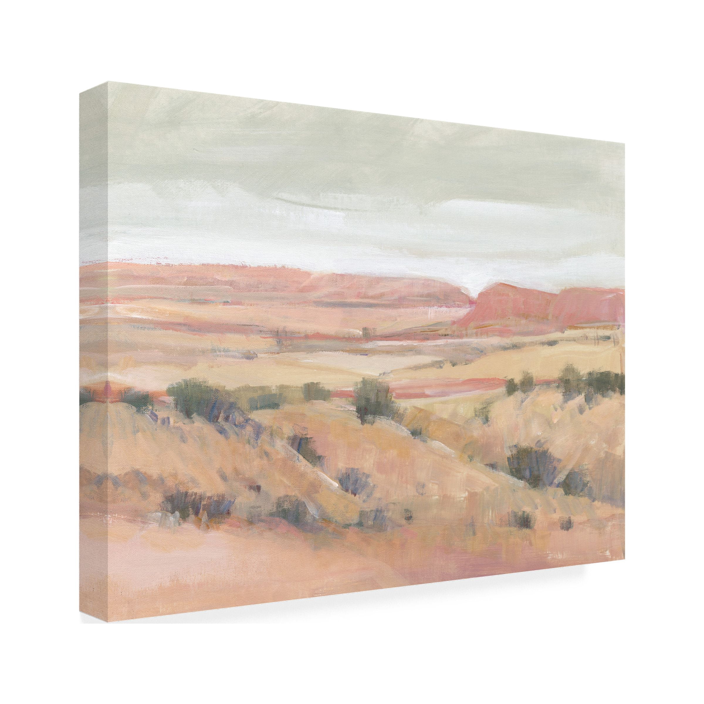 Tim O'Toole 'Southwest Landscape I' Canvas Art