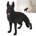 thumbnail image 3 of Dog Model, PVC Model Mannequin Display 4D Vision Anatomy Model with Two Different Types for Dog Lovers, This Ornament Is Available in Two Types to Suit Your Preference, 3 of 7