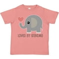 thumbnail image 3 of Inktastic Loved by Grandma Cute Grandchild Boys or Girls Toddler T-Shirt, 3 of 5