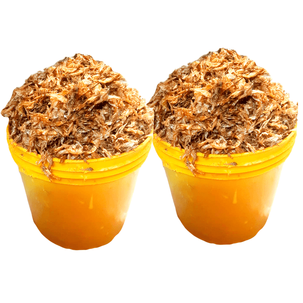 Crayfish Whole Dry, 2 Buckets 40oz(1134g)