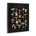 thumbnail image 2 of Stupell Industries Art Deco Dark Informative Mushroom Chart Black Floating Frame Canvas Art, 17 x 21, by Amylee Weeks, 2 of 7