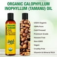 thumbnail image 2 of Seven Minerals USDA Organic Tamanu Oil - Big 8oz - Cold Pressed for Skin, Face, Hair, & Nails, 2 of 9