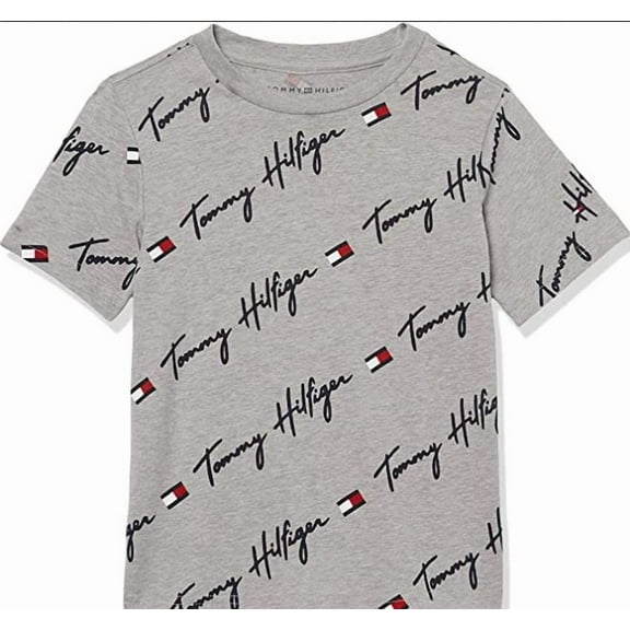 Tommy Hilfiger Big Boys Grey Short-Sleeve Vertical Script Logo Tee, (8/10)