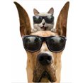 thumbnail image 1 of Pintura de diamante (DE5171) Perro con gafas 5D DIY Cuadro de arte de animales cuadrados 40x50cm FLhrweasw Nuevo, 1 of 1