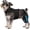 M, variant on Dog Hind Leg Joint Brace, Adjustable Support Wrap with Stabilizer Strips for Canine Rear Leg Mobility Assistance, S