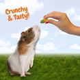 thumbnail image 6 of Crunchy Swirls - Fun & Unique Timothy Hay Treat - Rabbits, Guinea Pigs, Hamsters, Chinchillas, Prairie Dogs, Degus, Rats, Squirrels & Other Herbivores (4.7 oz.), 6 of 9