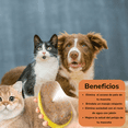 thumbnail image 2 of Cepillo de baño para mascotas, baño para gatos, cepillo de baño especial, cepillo de masaje para perros, can vaporizador, 2 of 6