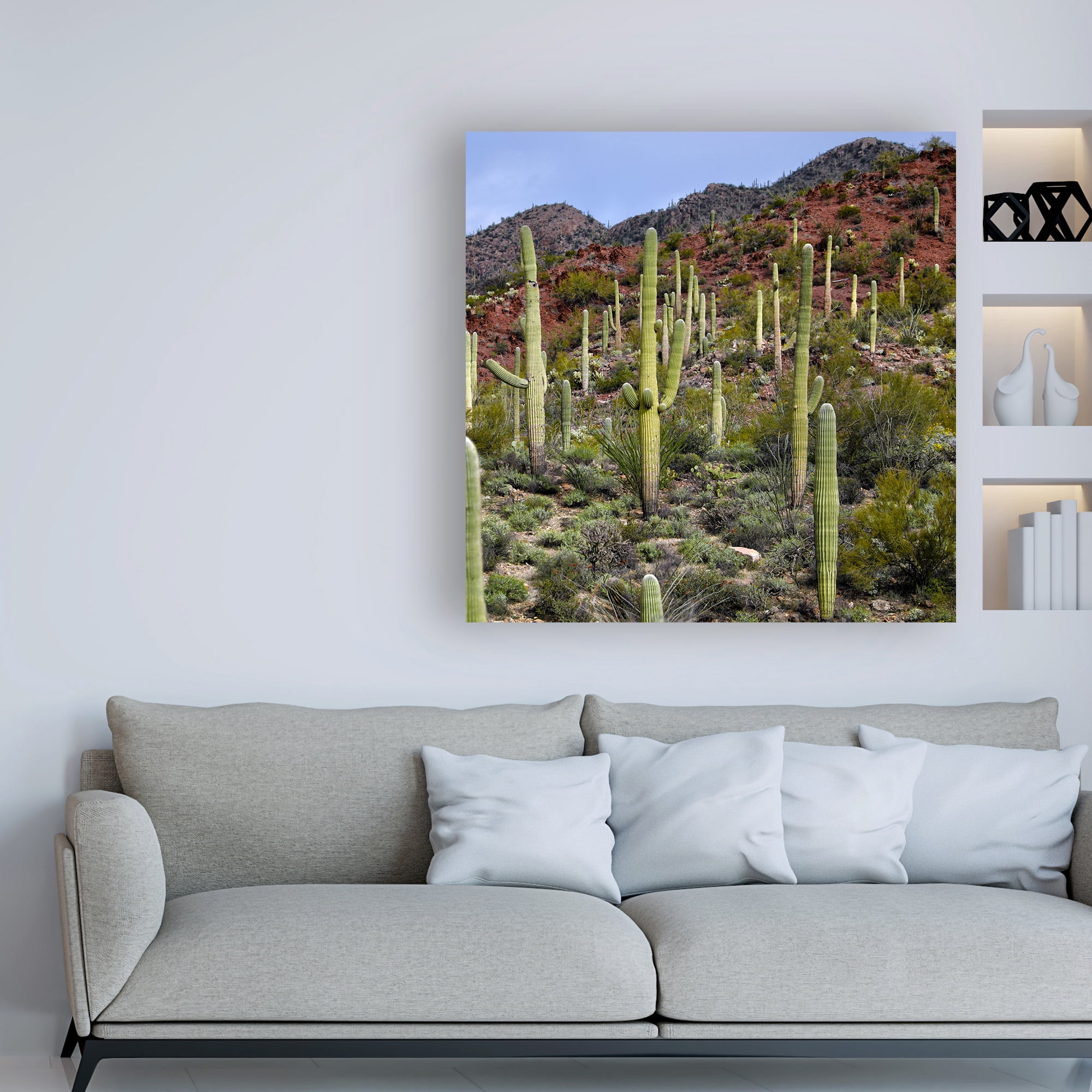 Trademark Fine Art 'Santa Catalina Mountains' Canvas Art by Mitch Catanzaro