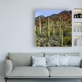 thumbnail image 3 of Trademark Fine Art 'Santa Catalina Mountains' Canvas Art by Mitch Catanzaro, 3 of 3
