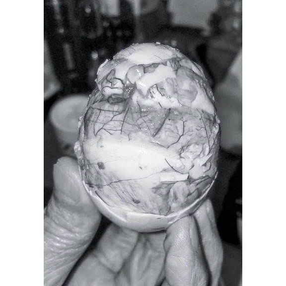 Chrysalis, (Paperback)