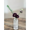 thumbnail image 4 of Serene Spaces Living Set of 4 Clear Pleated Bud Vase, Vases for Centerpieces for Home Decor, Events, Weddings, Parties, Living Room, 4 of 5
