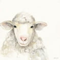 thumbnail image 3 of Marrott, Stephanie 12x12 Black Modern Framed Museum Art Print Titled - On The Farm Sheep, 3 of 5