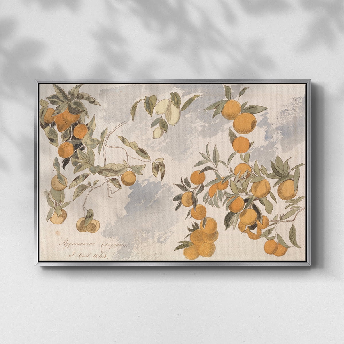 Vintage Botanical Print-IV By Wexford Home Framed in Silver Wood Gallery Wrapped Canvas 25 in. x 37 in.