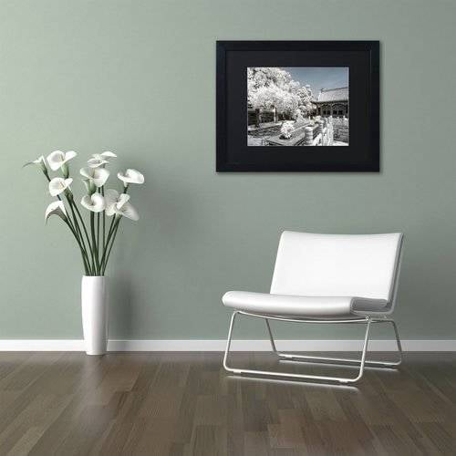 Trademark Fine Art "Reflection" Canvas Art by Philippe Hugonnard, Black Matte, Black Frame