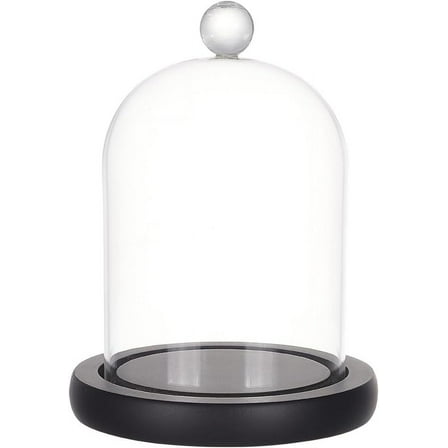 Cloche Glass Dome Clear Glass Display Dome Cloche Bell Jar Black Dome Cover with Top Handle Decorative Display Case for Plants Flower Cake Clay Succulents Christmas Display 8.4x4.5 inch DIY