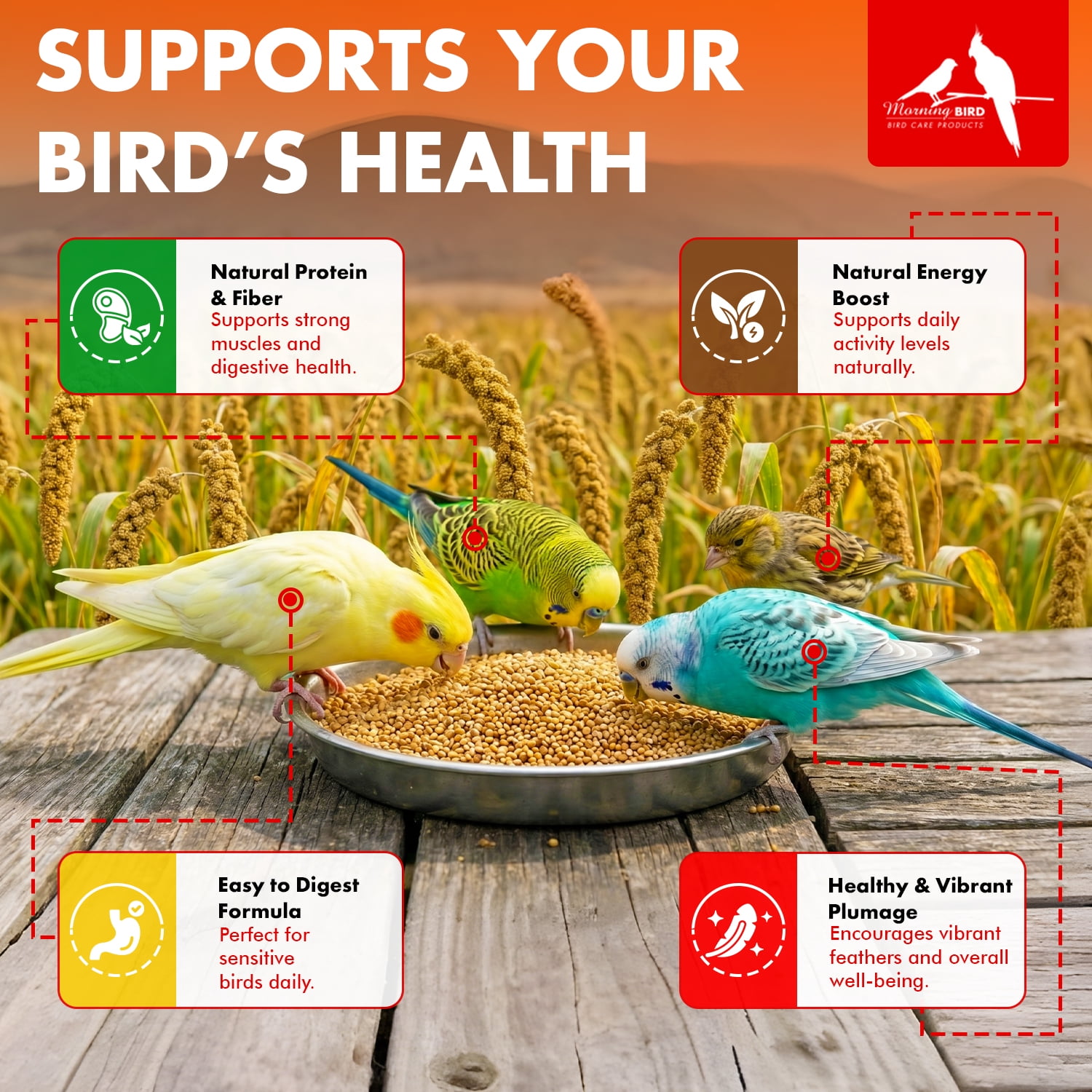 Morning Bird Golden German Millet 9 lbs – Bird Food for Parakeets, Finches & Canaries – Natural Millet Seed for Daily Nutrition