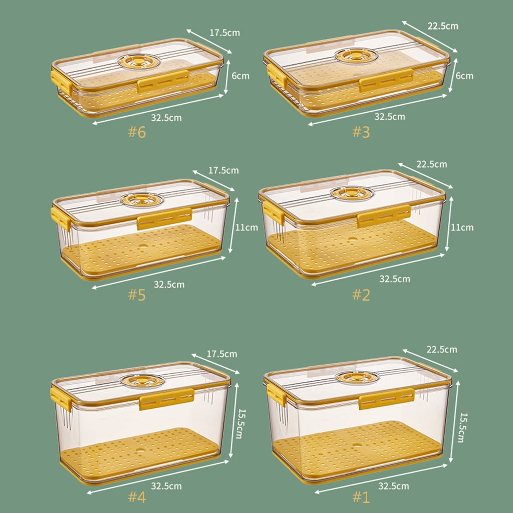 Plastic Food Storage Box Container with Lid and Drain Tray Timing Function Fridge Produce Saver Refrigerator Organizer Keeper Leakproof Lunch Box