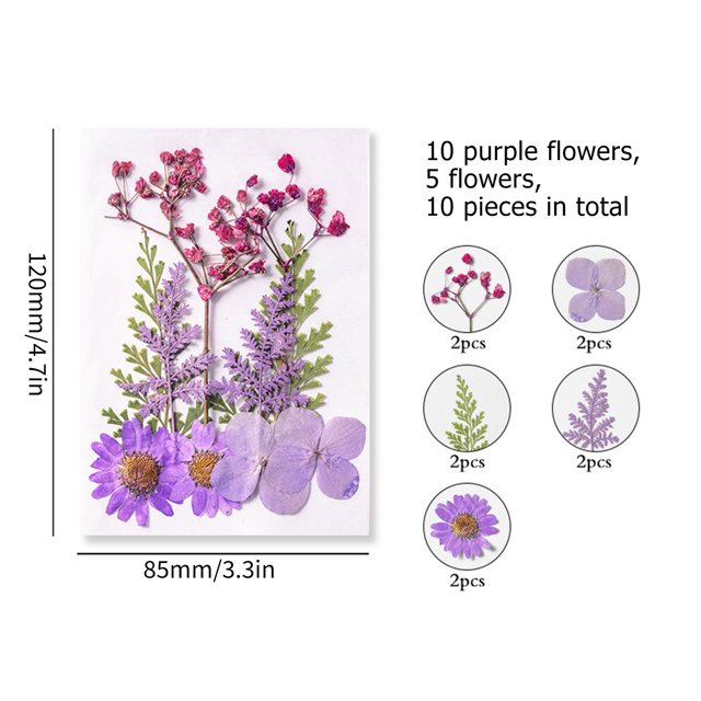 Paquete de material de flores secas Plantas secas prensadas reales y pegatinas de mariposas Ehuebsd Libre de BPA