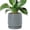 Graphite Blue, variant on 8 Inch Ceramic Beaded Stoneware Planter Pot - Flower Pot with Drainage Holes and Saucers for Indoor Succulent Plants or Flowers, Pumpkin, 27-C-Q-J